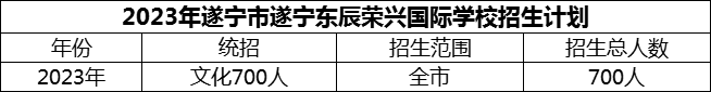 2024年遂寧市遂寧東辰榮興國際學校招生計劃是多少？