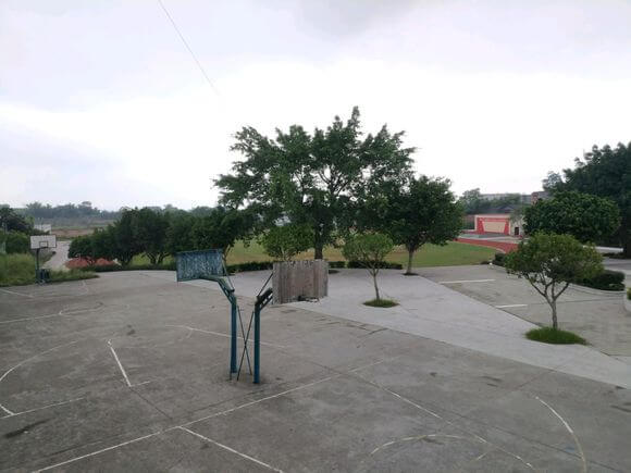 隆昌十中校園風采