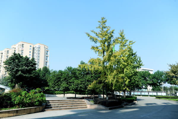 棠湖外國語實驗學(xué)校校園風(fēng)采