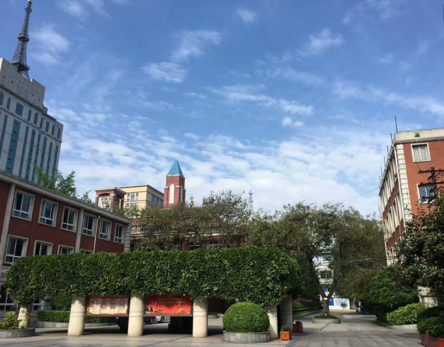 成都樹(shù)德實(shí)驗(yàn)學(xué)校辦學(xué)成果