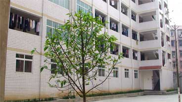 威遠自強中學(xué)是民辦還是公辦學(xué)校？