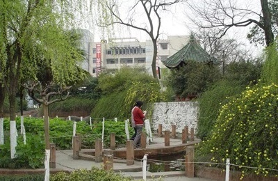 綿陽南山中學校園風采