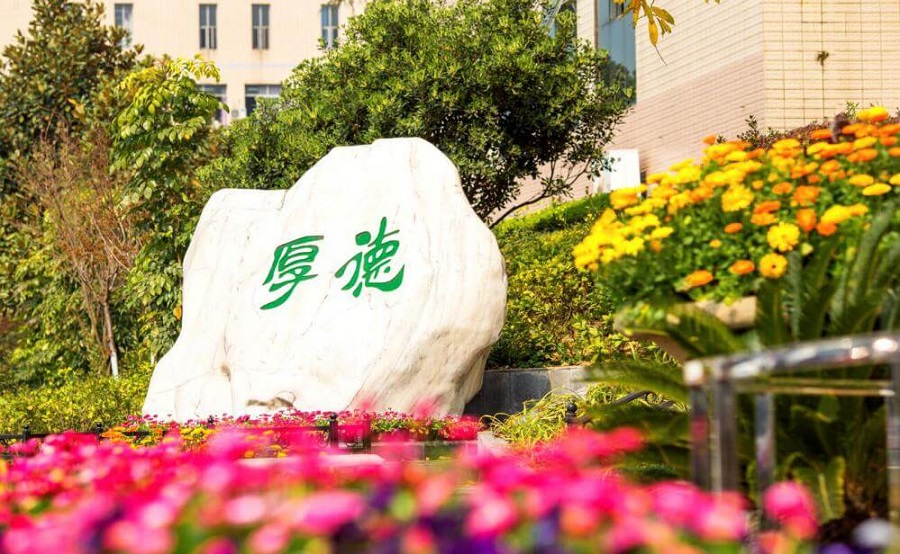 綿陽外國語學校學費大概是多少？
