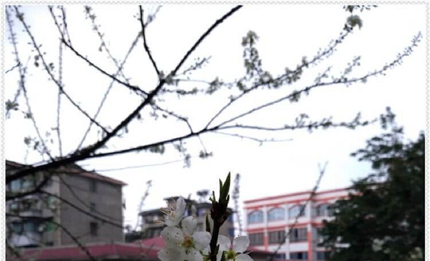 洪雅中學(xué)是一所公辦高中學(xué)嗎？