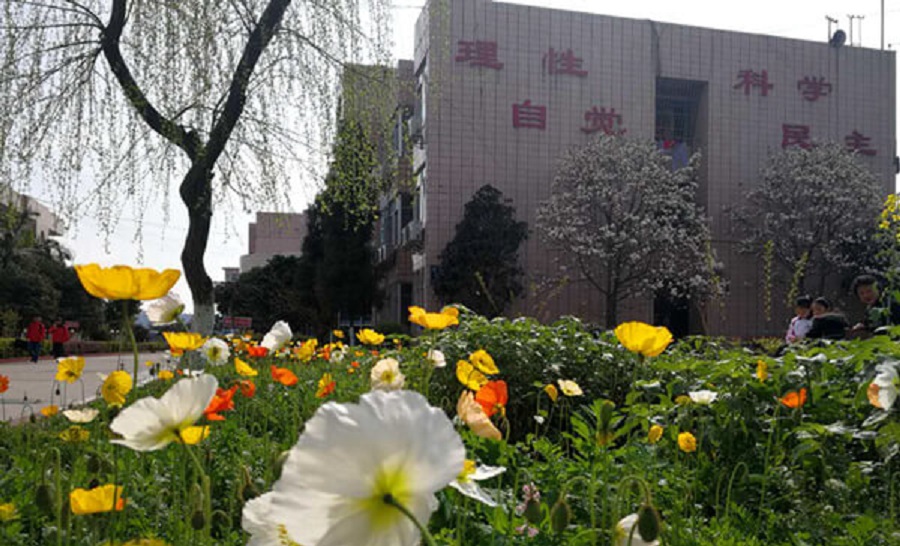 樂山市更生學校學費貴嗎？