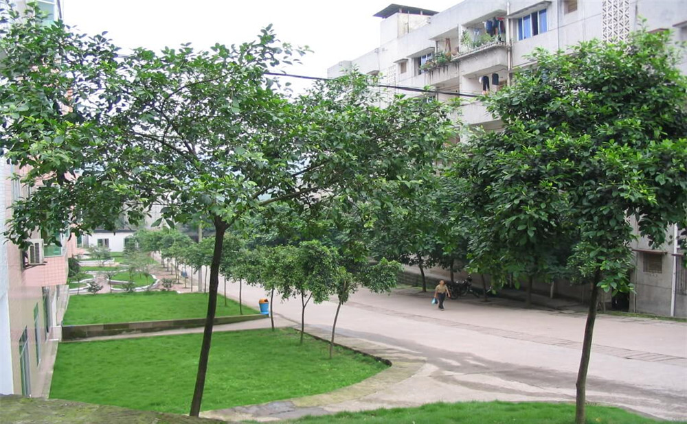 瀘州市納溪區(qū)護(hù)國中學(xué)地址在哪里？