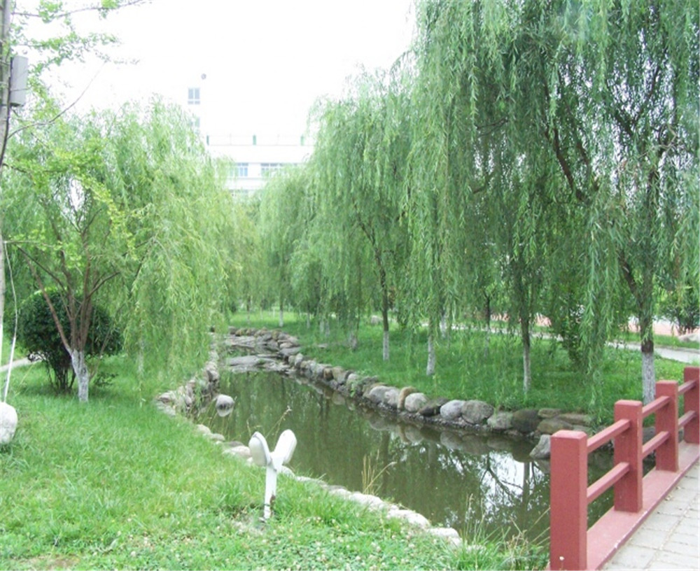 廣元外國語2020年學(xué)校招生分?jǐn)?shù)公布了嗎？