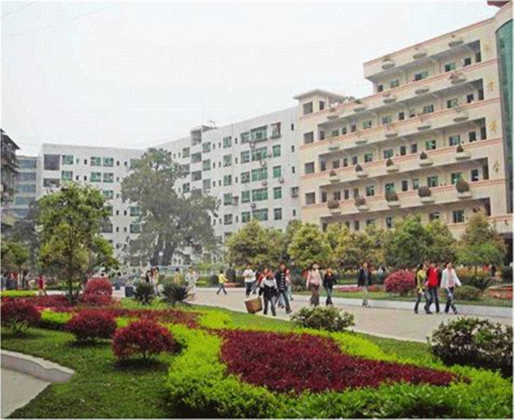 渠縣第二中學(xué)學(xué)校2020年的錄取分數(shù)公布了嗎？