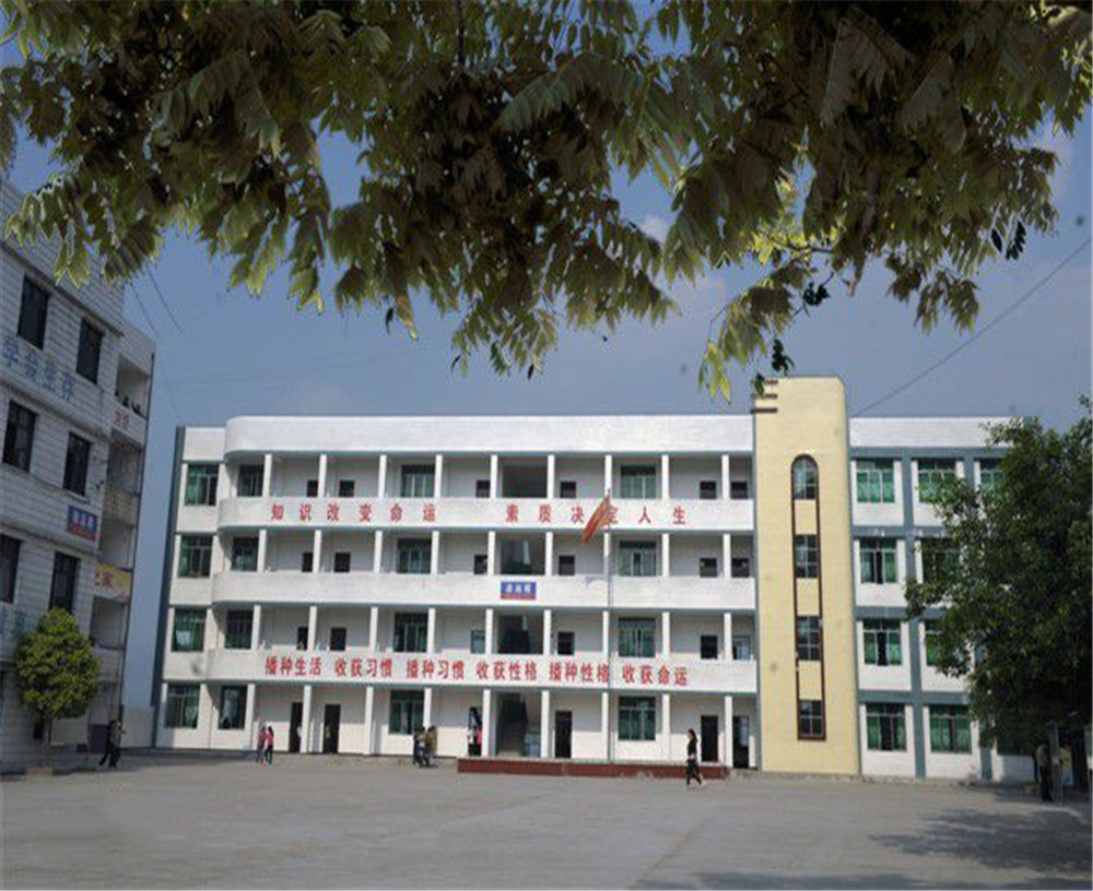 臨巴中學(xué)的詳細(xì)地址在什么地方？