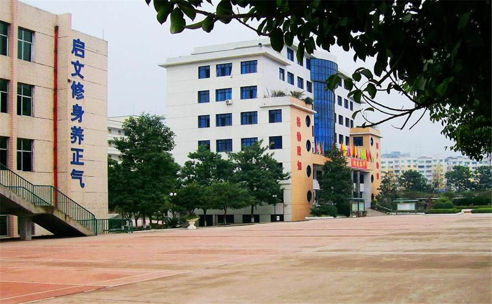 四川省鄰水中學(xué)2020年的招生計(jì)劃公布了嗎？