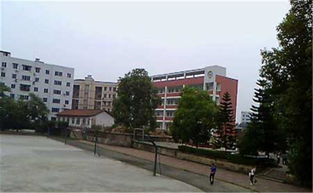 內(nèi)江十中2020年學校學費多少錢一年？