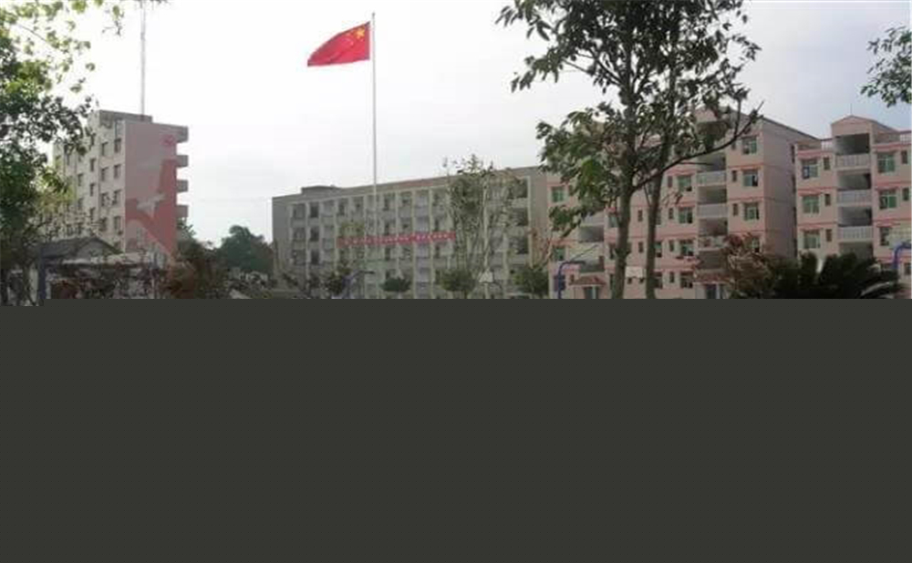 內(nèi)江市第十一中學(xué)學(xué)校環(huán)境怎么樣？