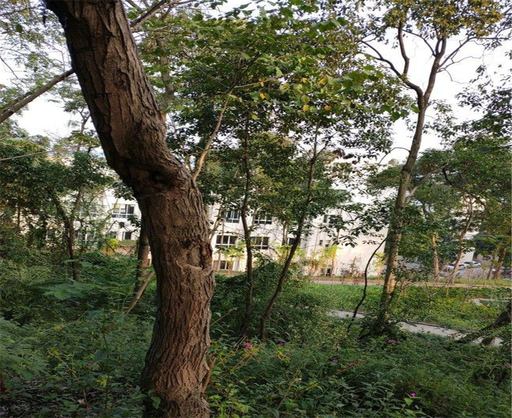 蒲家中學(xué)的詳細(xì)地址在什么地方？