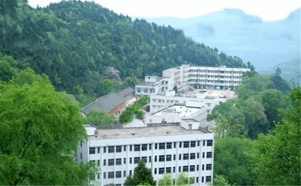 閬中市二龍中學(xué)2020年學(xué)校學(xué)費多少錢一年？