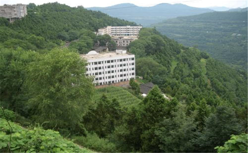 閬中市二龍中學學校詳細地址在什么地方？