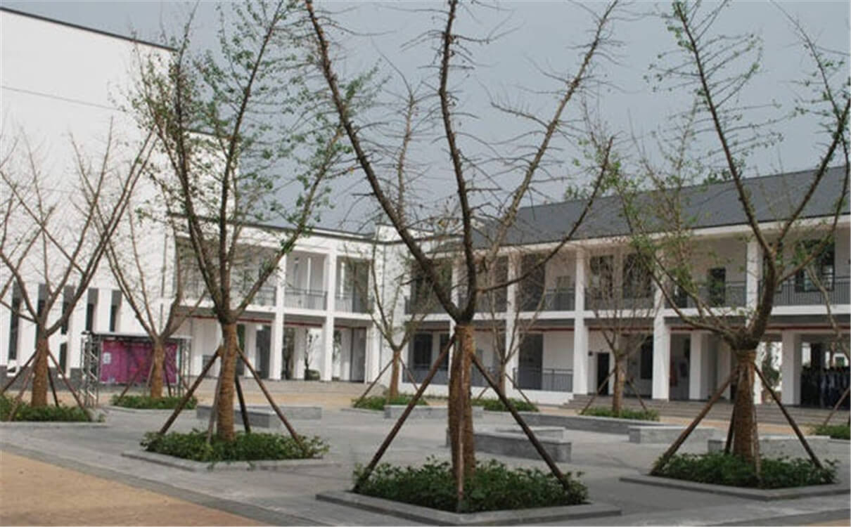 石室白馬中學(xué)的高中怎么樣？