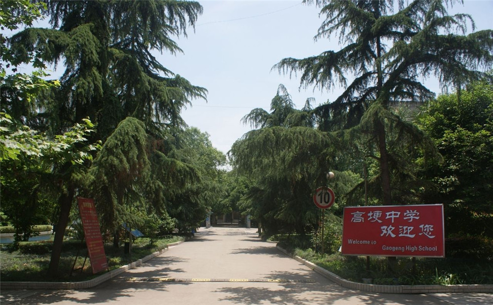 高埂中學(xué)的升學(xué)率怎么樣？