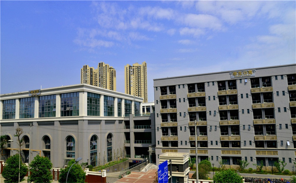 成都市第四十九中學(xué)去年的錄取分?jǐn)?shù)是多少？