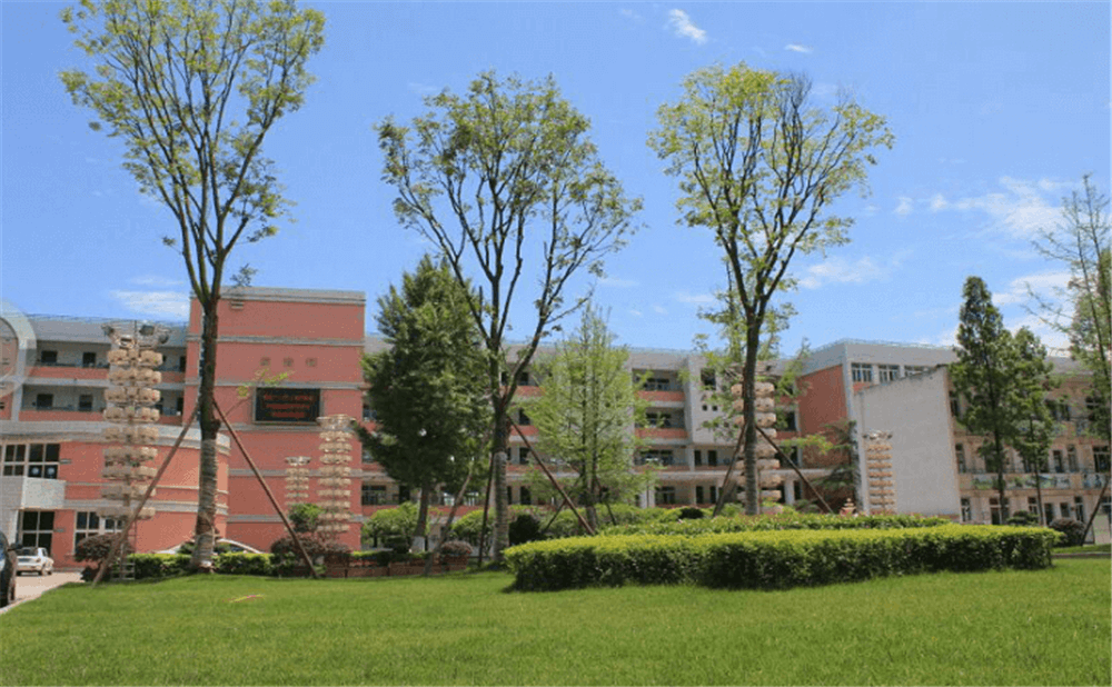 成都市籍田中學的老師怎么樣？