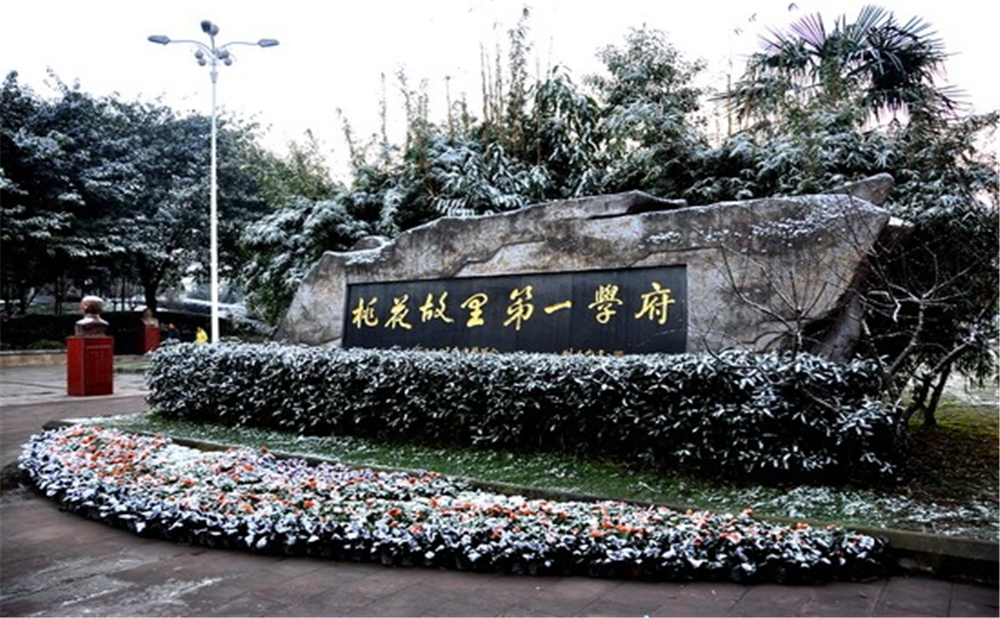 成都市龍泉中學的高考升學率是多少？