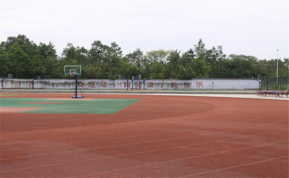 樹德懷遠中學(xué)2020年招生計劃在哪兒看？
