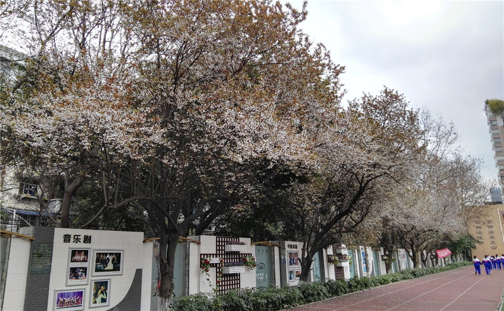 成都大學附屬中學2020年招生標準在哪兒看？