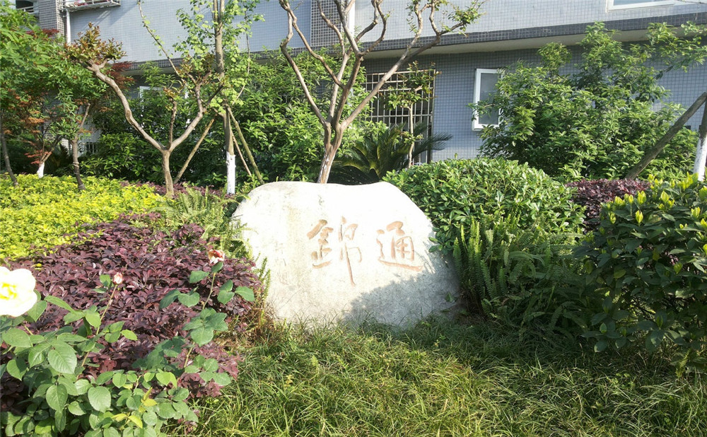 通錦中學(xué)2020年招生標(biāo)準(zhǔn)是什么？
