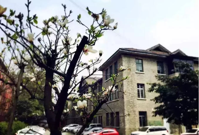 通錦中學(xué)的宿舍怎么樣？