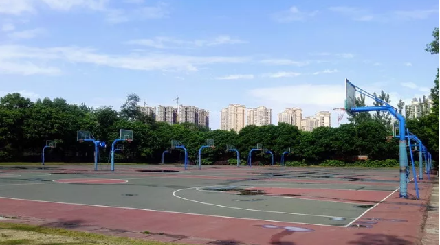 成都實驗外國語學校的本科升學率是多少？