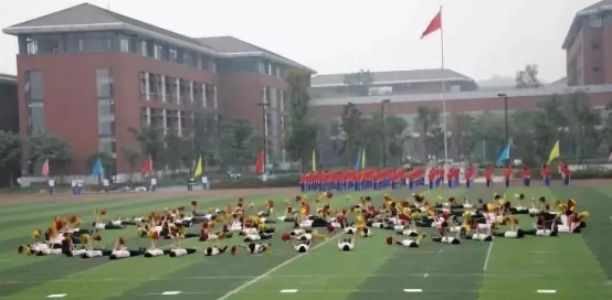 2020年成都七中高新校區(qū)的升學(xué)率有多少？