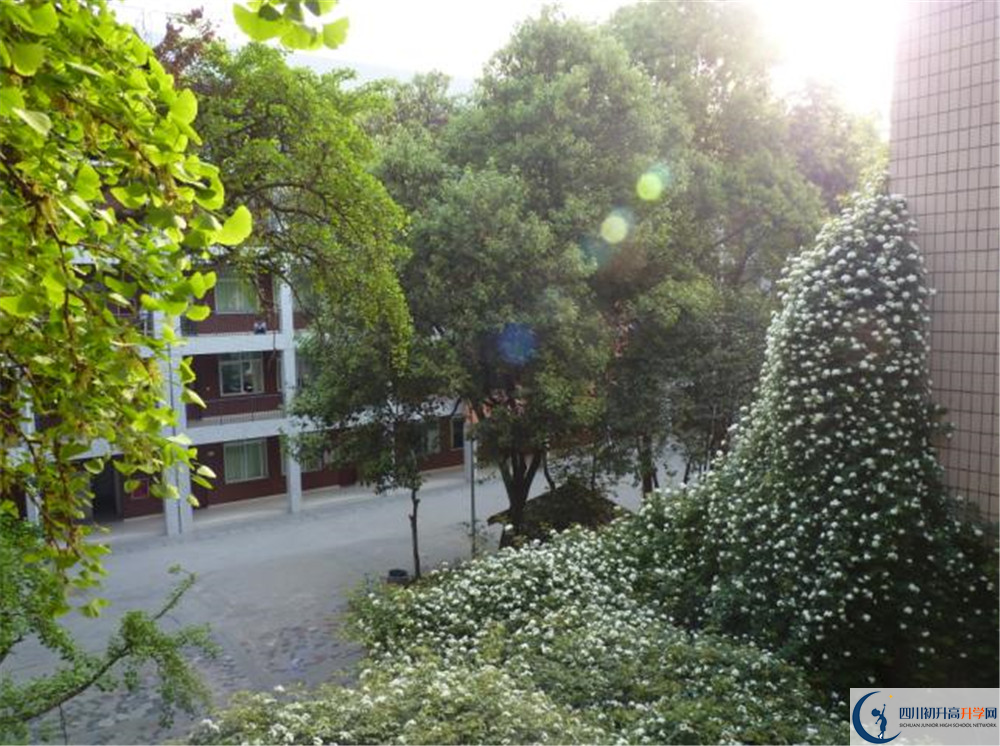 成都市石室聯(lián)中蜀華分校的升學(xué)率有多少？