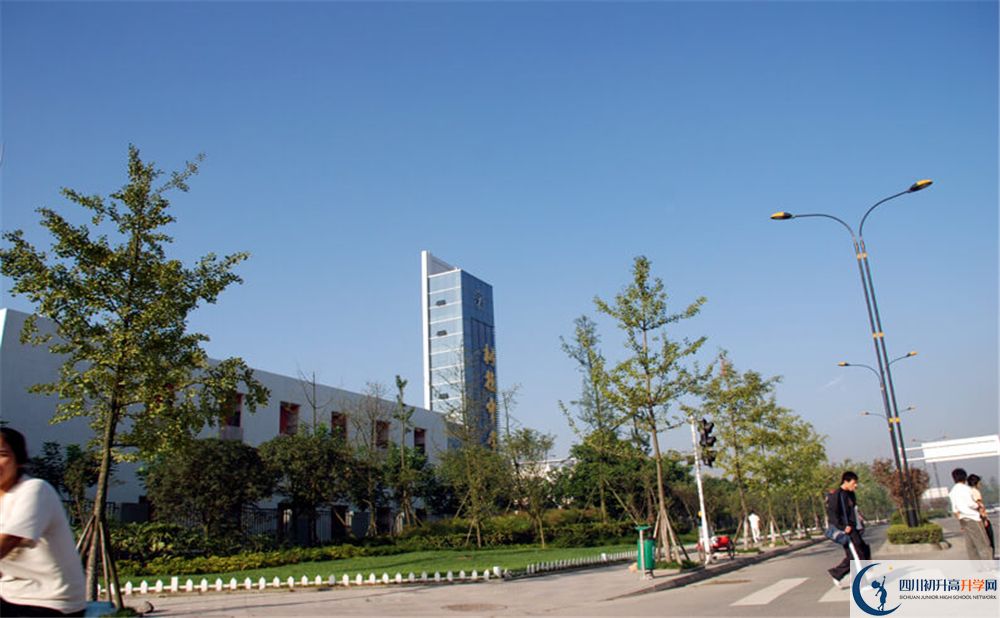 成都樹德中學(xué)的學(xué)費(fèi)大概多少錢？