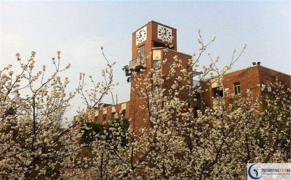 成都華西中學(xué)的學(xué)費(fèi)大概多少？