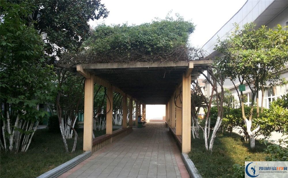 通錦中學(xué)高中歷年來的分?jǐn)?shù)線是多少分？
