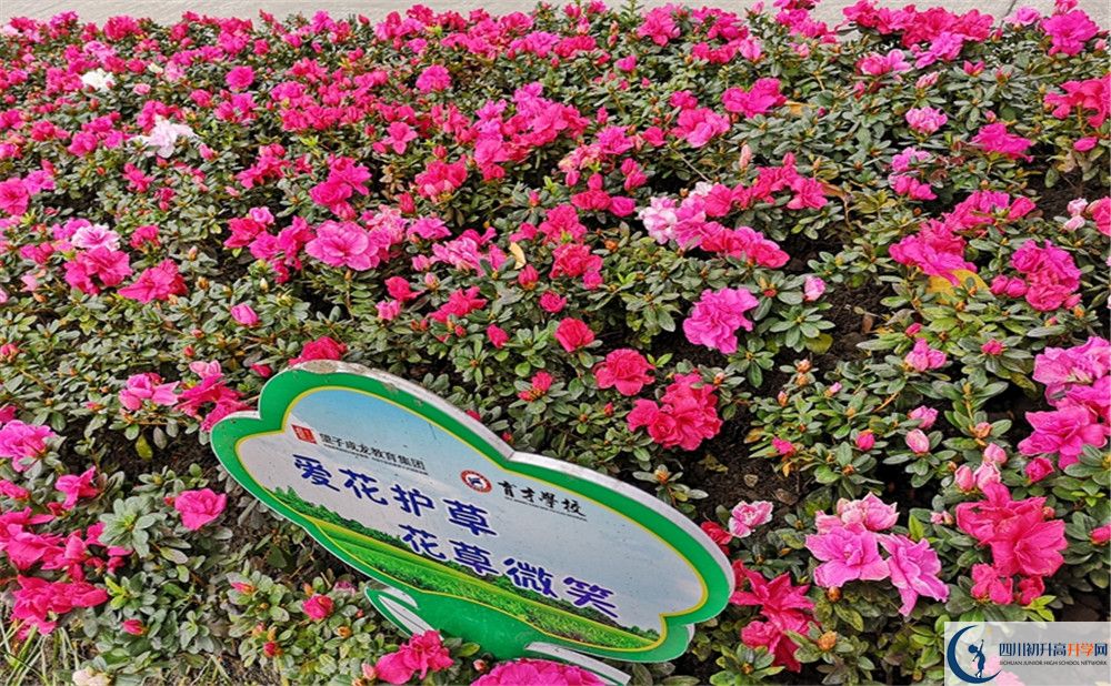 育才學(xué)校高中歷年來的分?jǐn)?shù)線是多少？