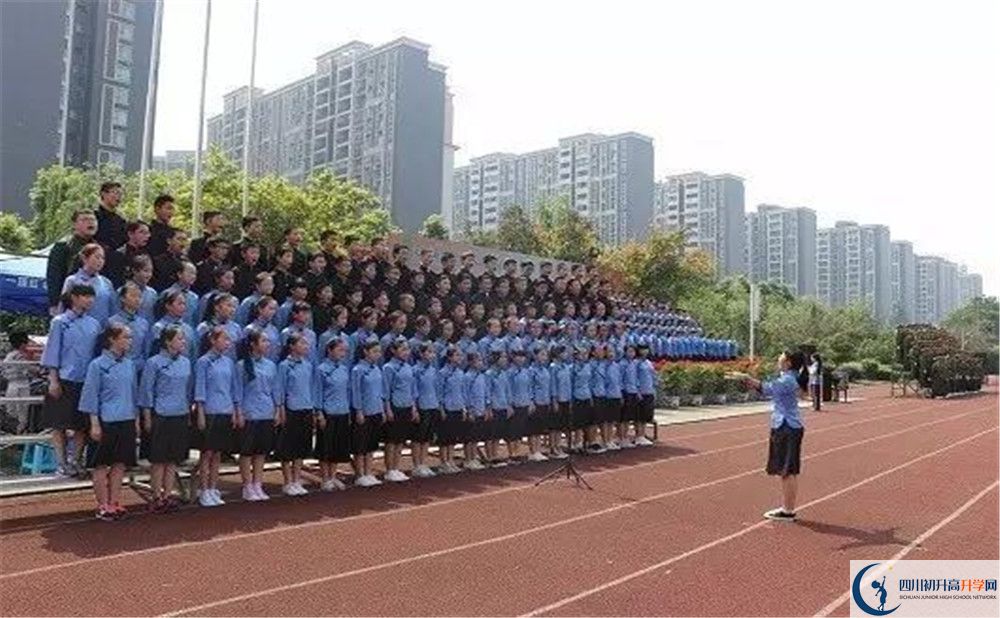 成都三十七中的地址在哪里？