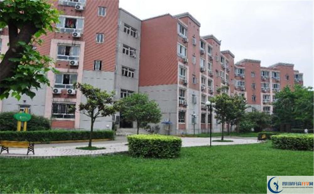 樹德博瑞實(shí)驗(yàn)學(xué)校2020年錄取條件是什么？