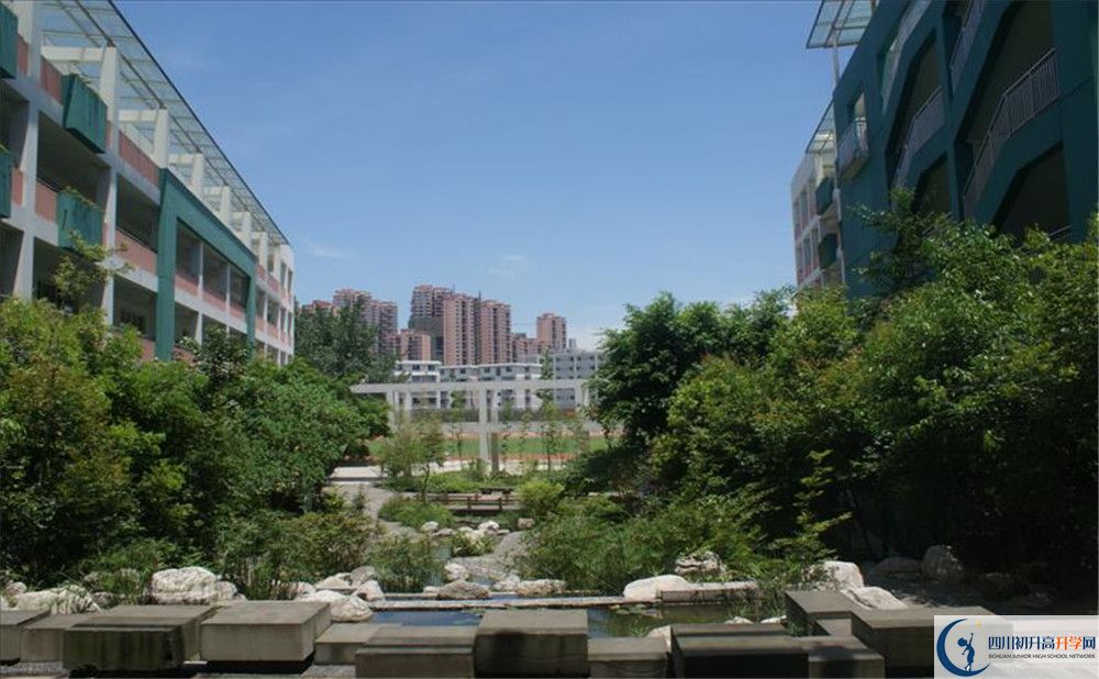 四川師范大學(xué)實(shí)驗(yàn)外國(guó)語學(xué)校2020年保送清華北大的人數(shù)？