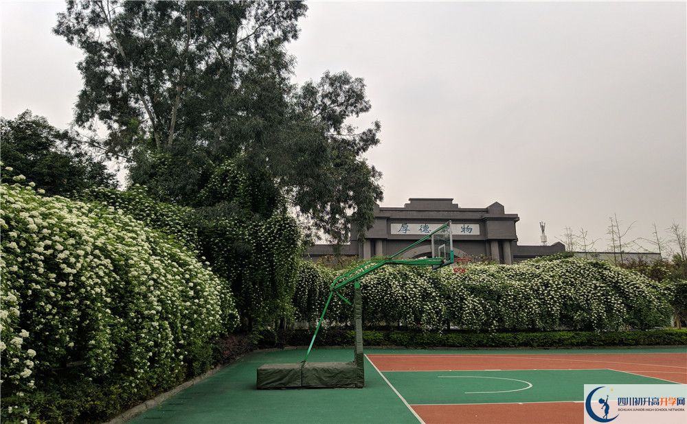 成都教科院附屬學校初升高難不難？
