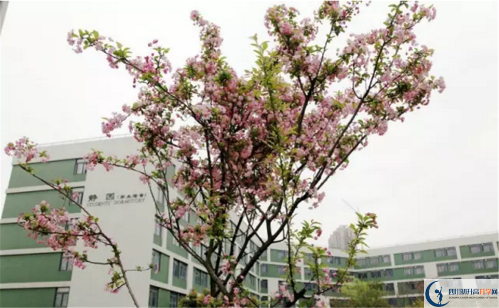 電子科技大學實驗中學2020高一開學時間是多久？
