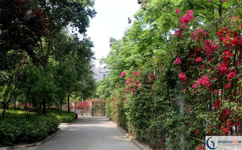 成都市第三中學(xué)平行班與實驗班差多少？