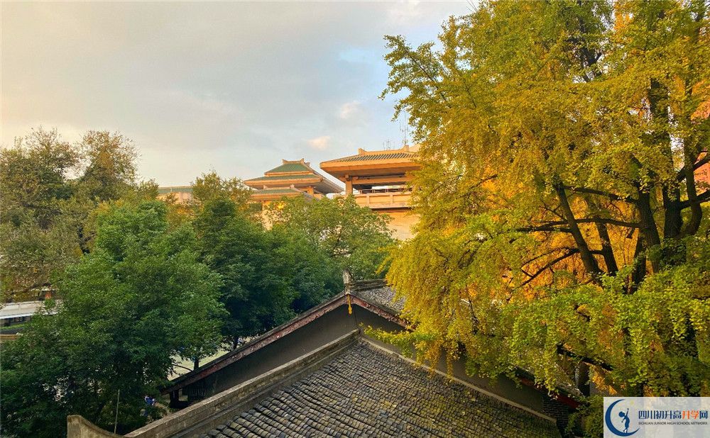 成都市泡桐樹中學(xué)平行班與實(shí)驗(yàn)班差多少？