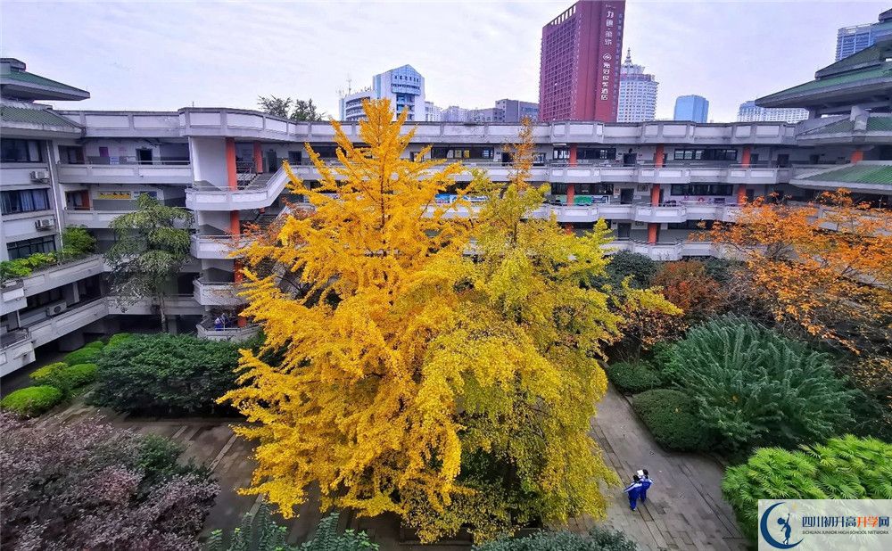 成都市泡桐樹中學(xué)2020年全國排名？