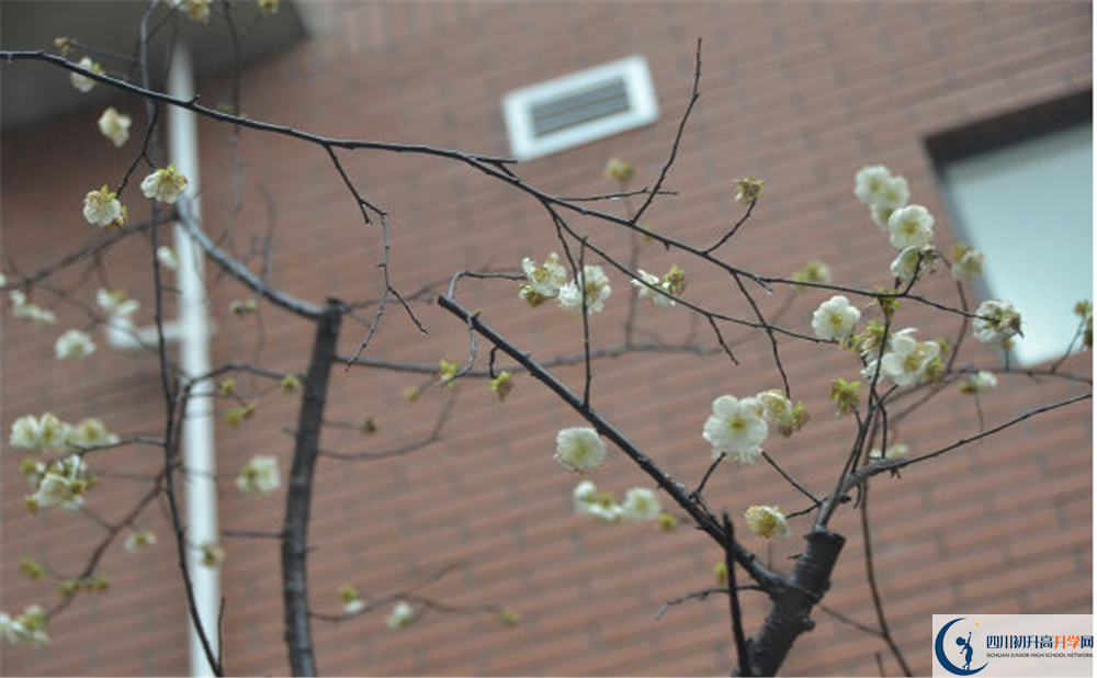 成都市華陽中學(xué)是私立還是公立學(xué)校？