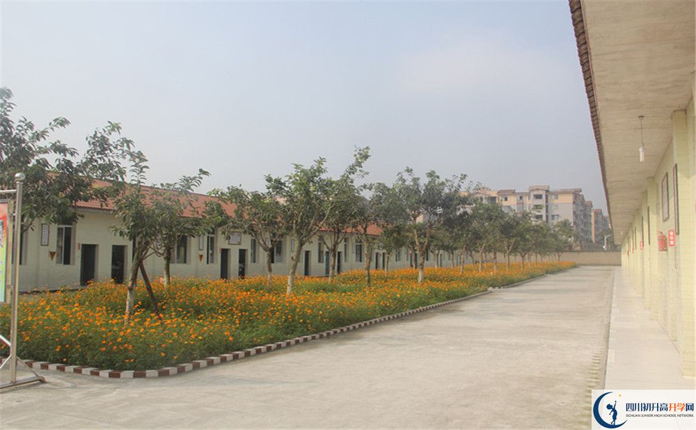強(qiáng)項實(shí)驗中學(xué)在全國高中排名多少？