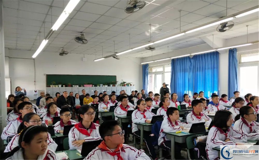 2020安仁中學(xué)期末試卷數(shù)學(xué)在哪兒看？