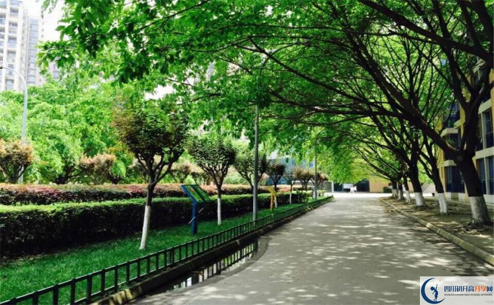 成都七中實(shí)驗(yàn)學(xué)校高2020屆高三階段檢測(cè)試題語(yǔ)文難嗎？