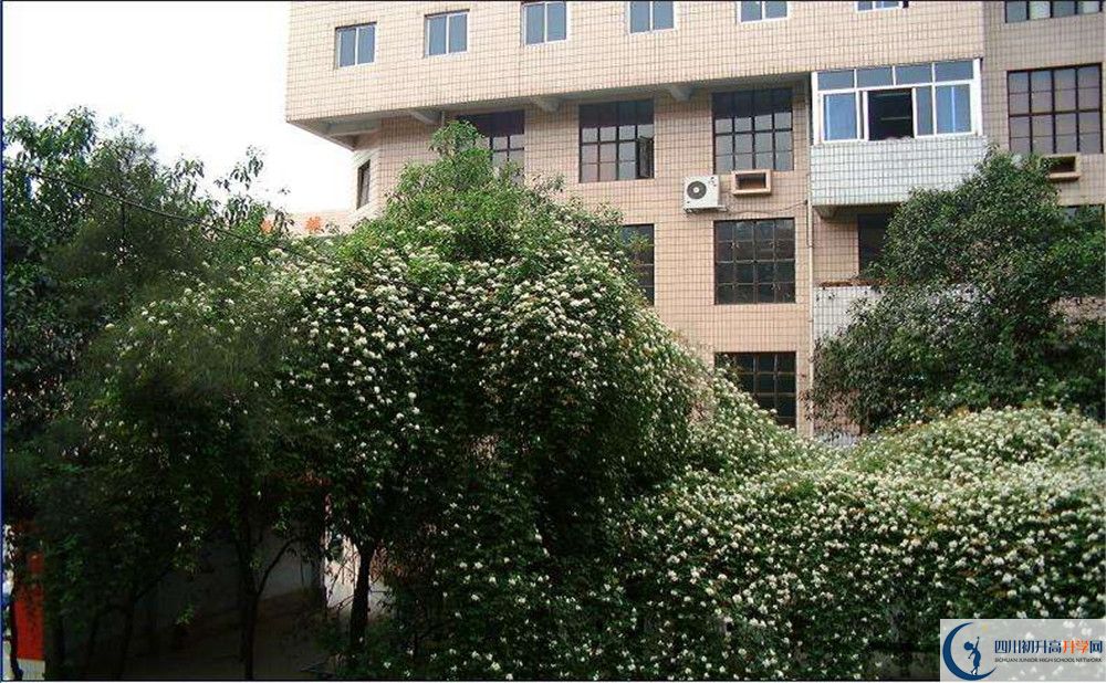 石室聯(lián)合中學(xué)蜀華分校2020屆高三數(shù)學(xué)測(cè)試題在哪看？