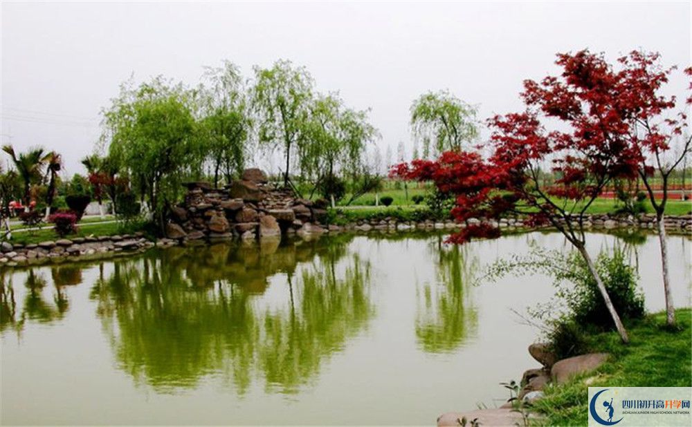成都七中實(shí)驗(yàn)學(xué)校平行班中考重點(diǎn)率高嗎？