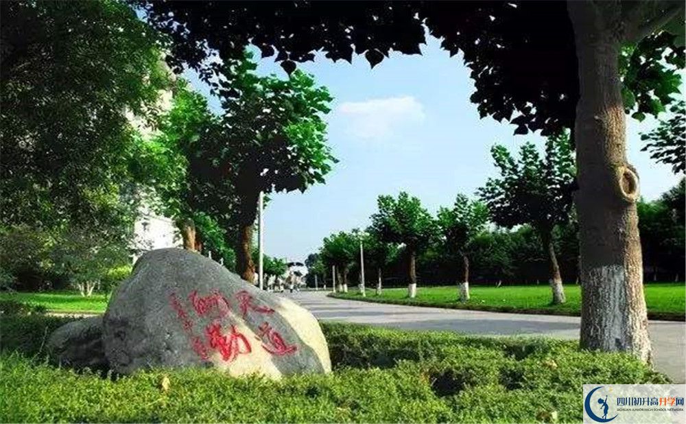 成都樹德中學(xué)補(bǔ)課嗎？